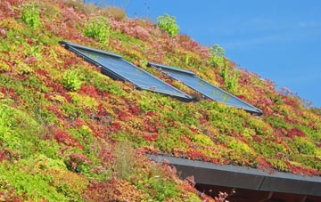 Bigrigg living roof systems