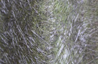 Bigrigg fibreglass roof work